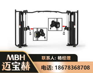 通化大飞鸟训练器