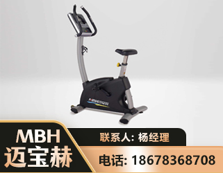 通化立式健身车